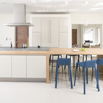 Example of a trendy kitchen design in Dublin