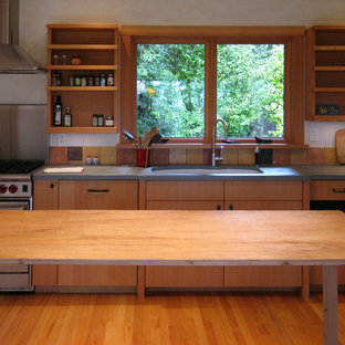 Ispirazione per una cucina design con elettrodomestici in acciaio inossidabile, lavello a doppia vasca, nessun'anta, ante in legno scuro e top in cemento