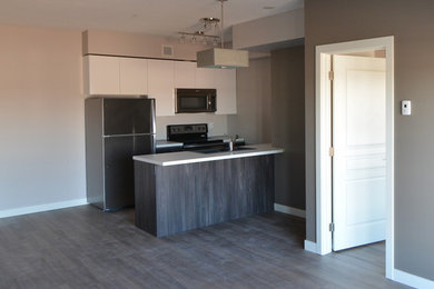 Example of a small minimalist galley eat-in kitchen design in Calgary with a double-bowl sink, flat-panel cabinets, stainless steel appliances and a peninsula