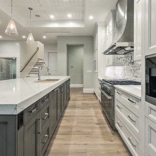 75 Beautiful Modern Kitchen Pictures Ideas August 2021 Houzz