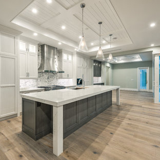 Immagine di una grande cucina minimalista con ante con riquadro incassato, ante grigie, top in granito, paraspruzzi beige, paraspruzzi con piastrelle in ceramica, isola, lavello sottopiano, elettrodomestici in acciaio inossidabile, parquet chiaro e pavimento marrone