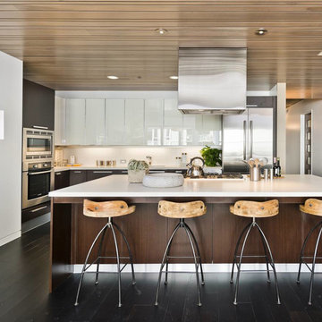 Modern Doorless Kitchen Cabinets - Photos & Ideas | Houzz