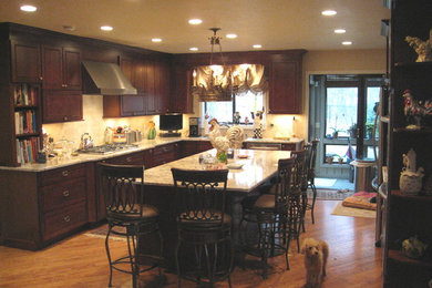 Mid-sized elegant l-shaped medium tone wood floor and brown floor kitchen photo in New York with an undermount sink, raised-panel cabinets, dark wood cabinets, granite countertops, beige backsplash, paneled appliances and an island
