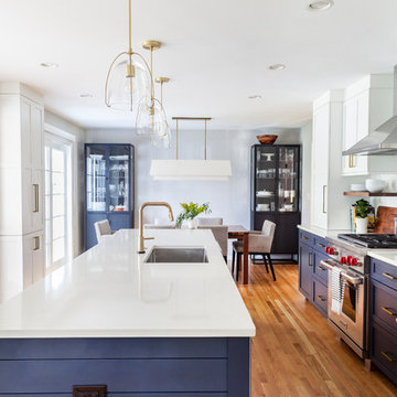 A Bold and Beautiful Blue Kitchen in Glen Ellyn