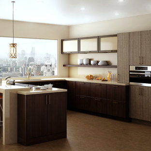 A Brush with Brass Lofty Kitchen Remodel with Dura Supreme Cabinetry