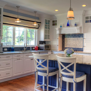 Blue And White Kitchen Houzz