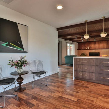 A Gorgeous Midcentury IKEA kitchen