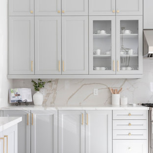 Transitional kitchen ideas - Inspiration for a transitional kitchen remodel in DC Metro