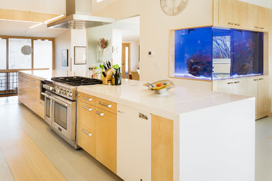 Diseño de cocina comedor actual con armarios con paneles lisos, puertas de armario de madera clara, electrodomésticos de acero inoxidable y una isla
