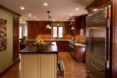 アトランタにあるトラディショナルスタイルのおしゃれなキッチン (アンダーカウンターシンク、レイズドパネル扉のキャビネット、中間色木目調キャビネット、シルバーの調理設備) の写真