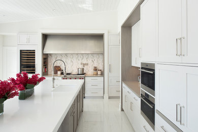 Kitchen - transitional kitchen idea in Miami