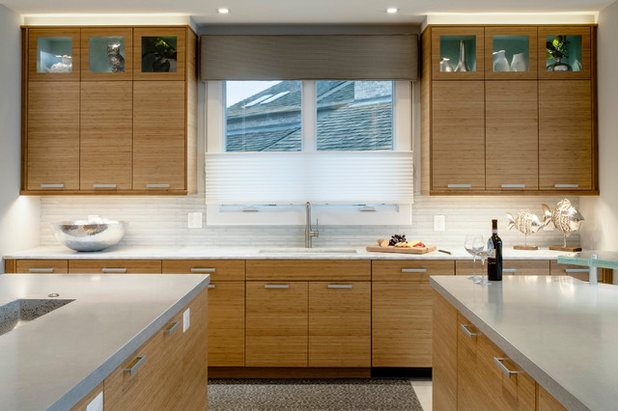 Contemporary Kitchen by Kitchen Encounters