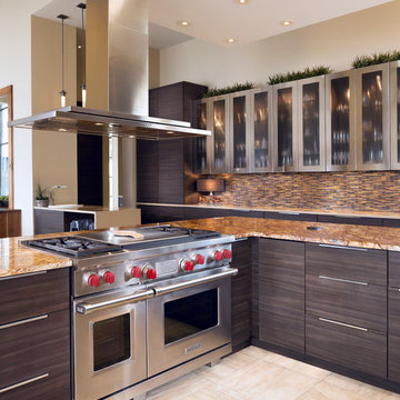 Alexander Modern Homes Project AMH-A : Modern Kitchen Furnished With Wolf-SubZer