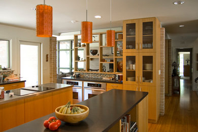 Kitchen - contemporary kitchen idea in Dallas