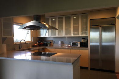 Mittelgroße Moderne Wohnküche ohne Insel in U-Form mit Waschbecken, Glasfronten, hellen Holzschränken, Mineralwerkstoff-Arbeitsplatte, Küchengeräten aus Edelstahl, Keramikboden und grauem Boden in San Diego