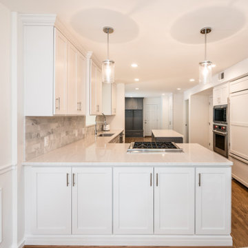 Alexandria Contemporary Kitchen Remodel with Clean White Features