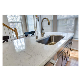 Alexandria Va Transitional Kitchen Remodeling Project Reico Kitchen And Bath Img~1e014764064f3ada 1440 1 70d7238 W320 H320 B1 P10 