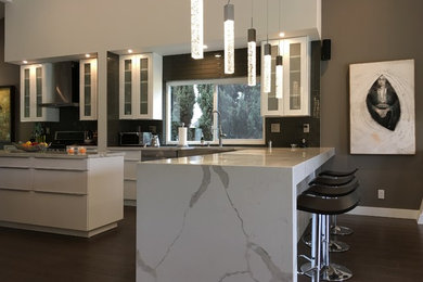 Mid-sized minimalist single-wall medium tone wood floor and gray floor enclosed kitchen photo in Orange County with a farmhouse sink, glass-front cabinets, white cabinets, marble countertops, gray backsplash, glass tile backsplash, stainless steel appliances and an island