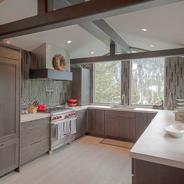 Alpine Meadows Complete Residential Remodel