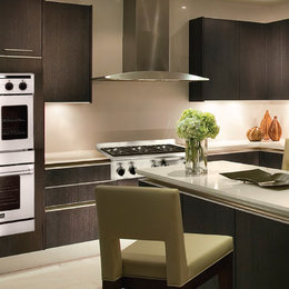 https://www.houzz.com/hznb/photos/american-range-legacy-series-french-and-chef-door-wall-ovens-contemporary-kitchen-los-angeles-phvw-vp~4866690