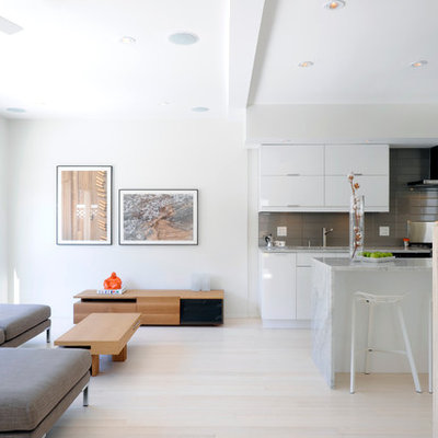 Mid-sized danish galley light wood floor open concept kitchen photo in Ottawa with an island, flat-panel cabinets, white cabinets, an undermount sink, marble countertops, gray backsplash, porcelain backsplash and stainless steel appliances