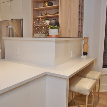 Annex Kitchen, Vanities, Bedroom Built-ins and Basement kitchen