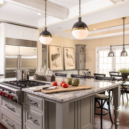 https://www.houzz.com/photos/ansley-park-transitional-kitchen-transitional-kitchen-atlanta-phvw-vp~11345958