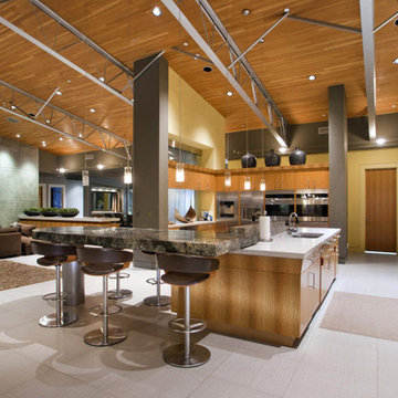 Arcadia Suburban Modern | Kitchen + Family Room