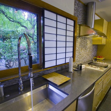Asian Contemporary Kitchen