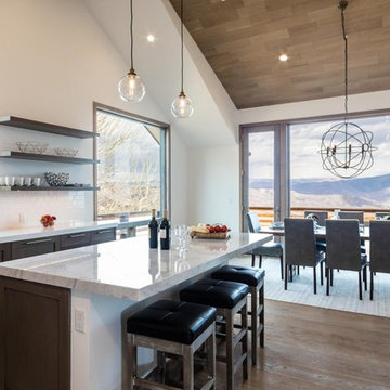 Aspen, Colorado Rustic Modern Home-Cobalt White Oak