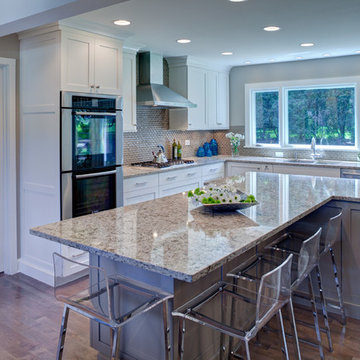 Award-Winning Glen Ellyn Transitional Kitchen