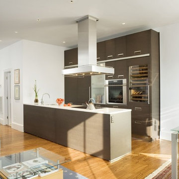 Back Bay Penthouse