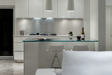 Example of a minimalist kitchen design in Orlando