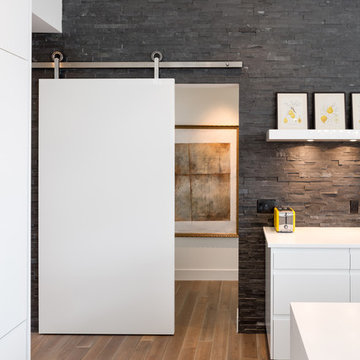 BALDUR Sliding Barn Door Hardware