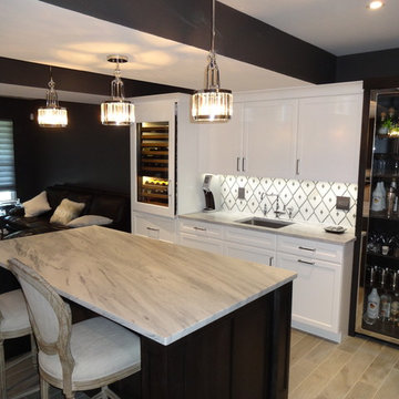 Basement Remodel