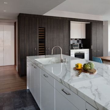 Battery Park Residence - Kitchen Perspective w/ Appliance Garage