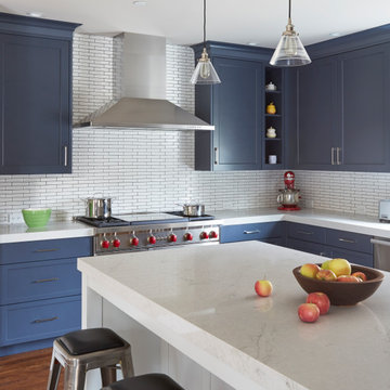 Beautiful Blue and White Kitchen