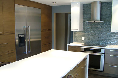 Kitchen - modern kitchen idea in Ottawa