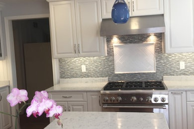 Large transitional l-shaped light wood floor enclosed kitchen photo in Philadelphia with an undermount sink, raised-panel cabinets, white cabinets, quartz countertops, multicolored backsplash, mosaic tile backsplash, stainless steel appliances and an island