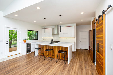 Minimalist kitchen photo in Other