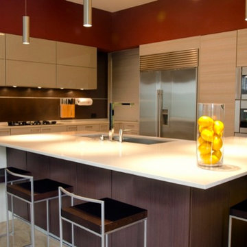 Bellaire, soft contemporary Poggenpohl kitchen renovation