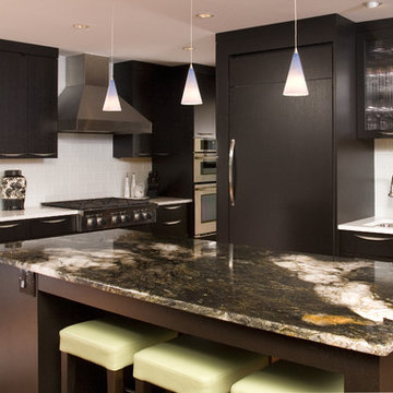 Bellevue Contemporary Kitchen