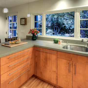 Berkeley Pied a Terre Kitchen Renovation