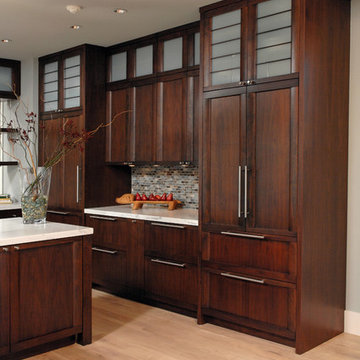 Bethany Beach, Delaware - Transitional - Kitchen Design