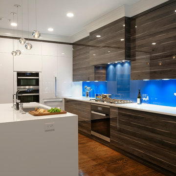Bethesda, Maryland - Contemporary - Kitchen Design