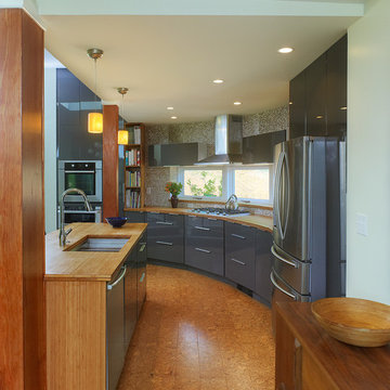 Bethesda Mid-Century Addition/Renovation