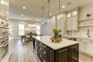 Example of a kitchen design in DC Metro