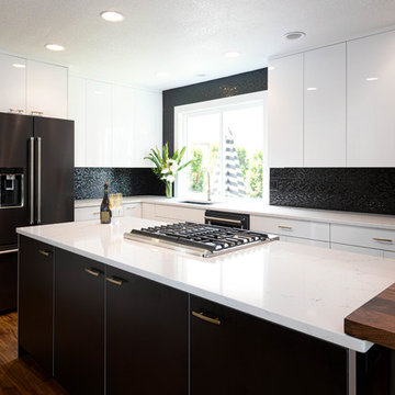 Black and White Kitchen - Vancouver