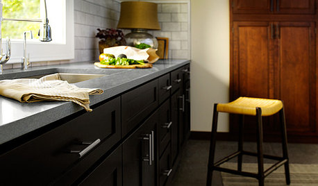Are You Ready for a Dark and Sophisticated Kitchen?