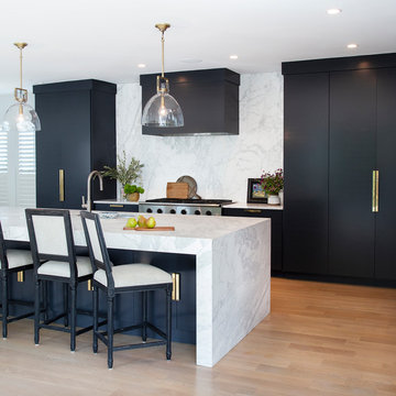 Black Kitchen Cabinets in Contemporary Home